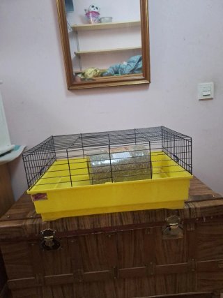Jaula grande con comida de conejo de regalo