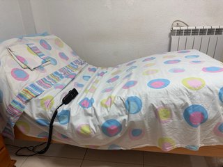 Cama articulada eléctrica con colchón