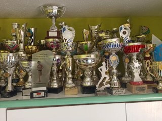 Lote copas y trofeos deportivos