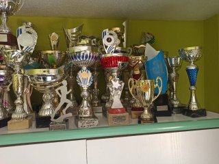 Lote copas y trofeos deportivos