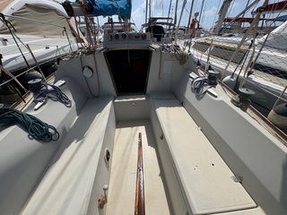 Taylor D-31 velero