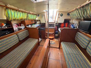 Taylor D-31 velero