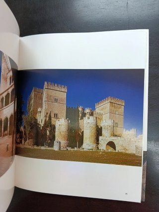 Palencia, Remota y Alba