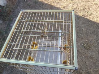 Jaula para loro dorada