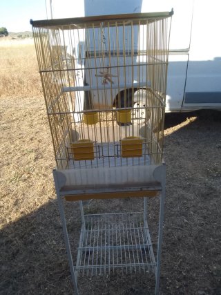 Jaula para loro dorada