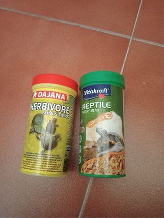 Tortuguero con accesorios y comida gratis