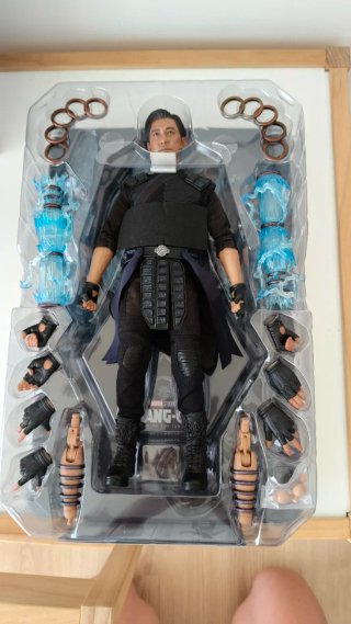 Hot Toys Wenwu