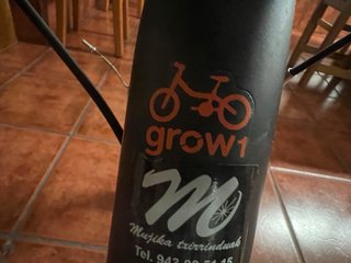 Bici Orbea Grow 1 niño