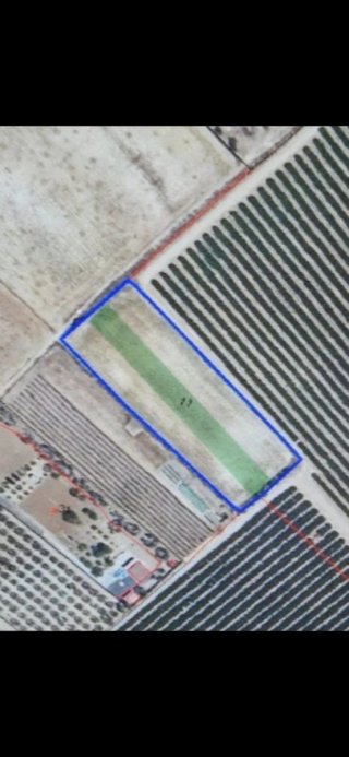 Terreno rústico en venta