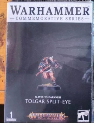 Warhammer Tolgar Split-Eye