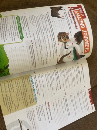 Options 3ESO Workbook Burlington