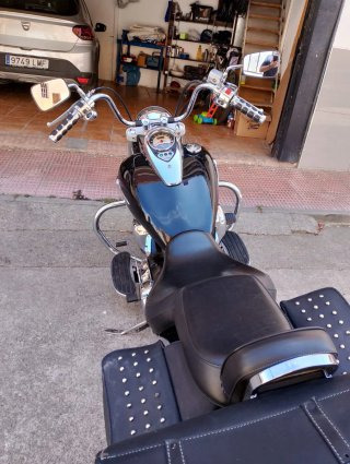 Kawasaki VN900 Custom