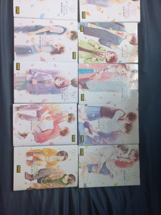 Manga Una enfermedad llamada amor 1-12