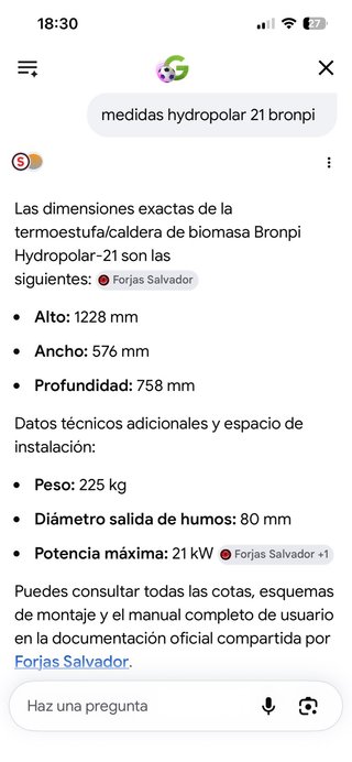 Caldera biomasa pellet Bronpi 21kw