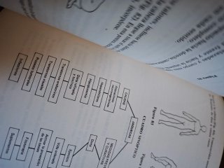 Medicina natural manual teórico-práctico