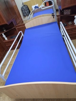 Cama geriátrica con auxiliar