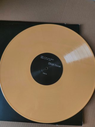 Vinile Billie Eilish - When We All Fall Asleep