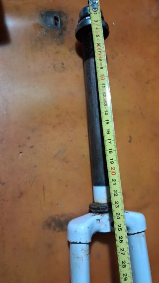 Forcelle Bici 24 Pollici