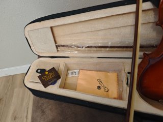 Violín Cecilio CVN-300 4/4 con Arco y Estuche