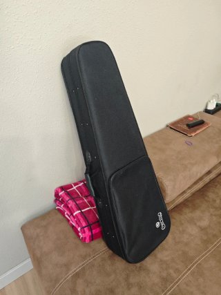 Violín Cecilio CVN-300 4/4 con Arco y Estuche