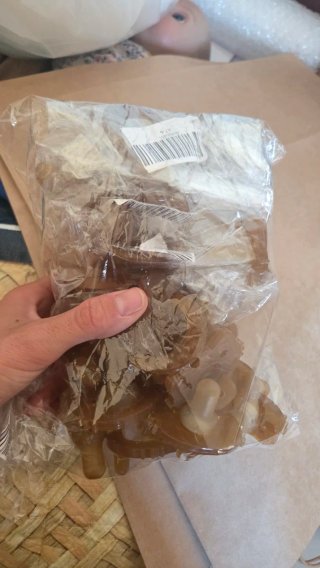 Confezione di ciucci in gomma con orsetto e gatto