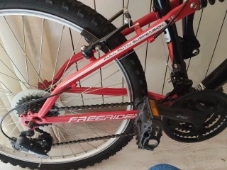 Bicicleta MTB Freerider