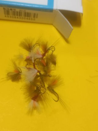 Moscas de pesca secas