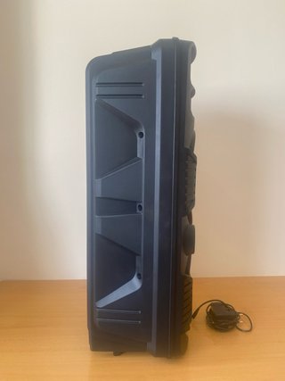 Altavoz Pyle 700W Negro