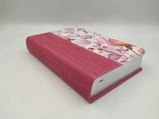 Santa Biblia Ntv letra grande rosa