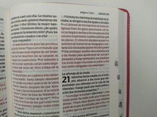 Santa Biblia Ntv letra grande rosa