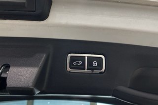 Kia Sorento   1.6 TGDi HEV Emotion 4x2 7pl P.Luxury