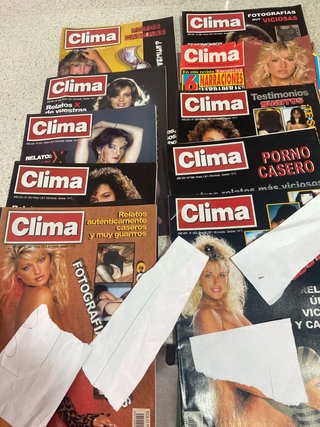 Lote 10 revistas clima