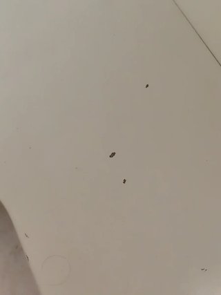 Escritorio pequeño con ruedas. A recoger en Ermua