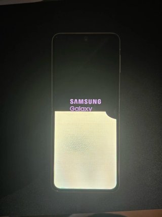 Samsung Z Flip 3