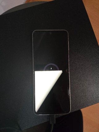 Samsung Z Flip 3