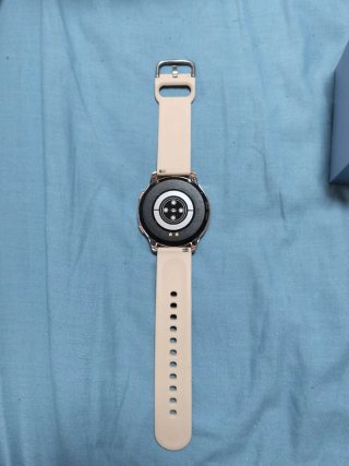 Reloj inteligente Active 2 Rosa/Plata