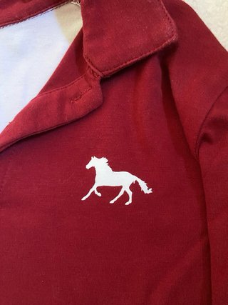 Polo niño manga larga tricolor