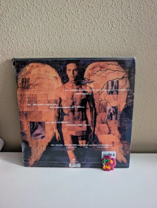 Vinilo 2 LP Bajo el signo de Caín de Bose