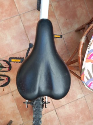 Bicicleta infantil Btwin