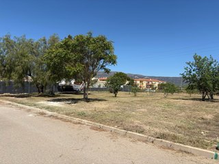 Vendo Solar Urbano de 1156m2 en Ubeda Pinoso
