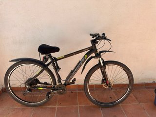 Bici Eléctrica Rin 29