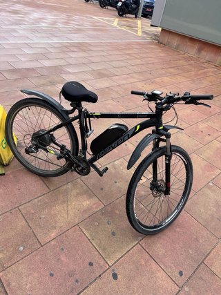 Bici Eléctrica Rin 29