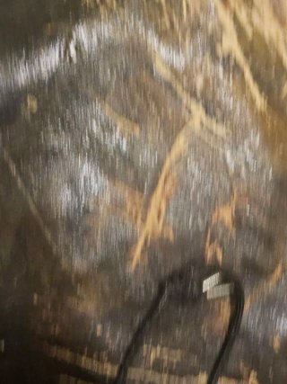 Cuadro antiguo madera para restaurar