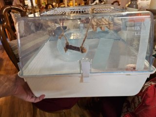 Jaula hamster Ferplast Mini Duna