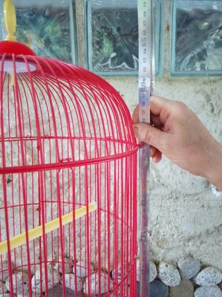 Gabbia per uccelli rossa