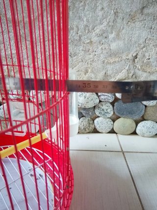 Gabbia per uccelli rossa