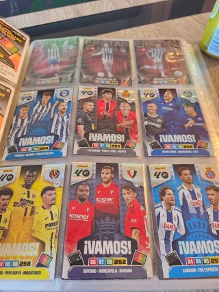 Adrenalyn XL Liga Entrenador Cards