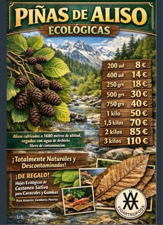 Lote 200 unidades piñas de aliso ecologicas
