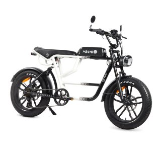 Bicicleta Eléctrica Fat Bike Youin Miami