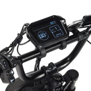 Bicicleta Eléctrica Fat Bike Youin Miami